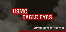 HP_Banner_Eagle_Eyes.jpg