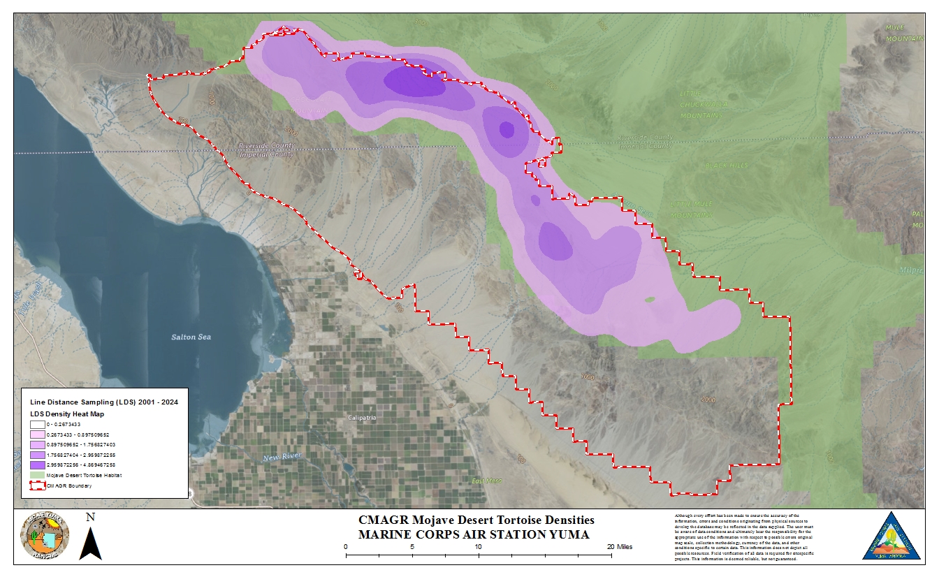 Heat Map showing densities for Mojave Desert Tortoise surveys on the CMAGR